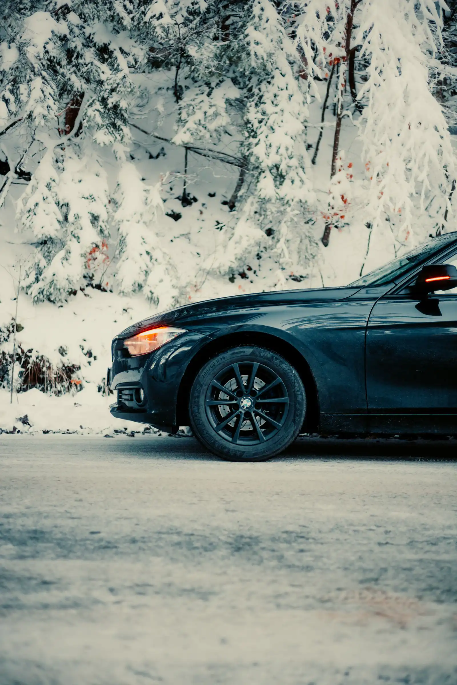 Black car parked on a snow-covered road by a snowy forest